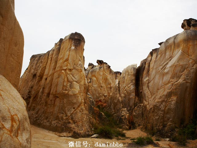 /DJGIMG/Upload/201412182304441Eb7Eb.jpg