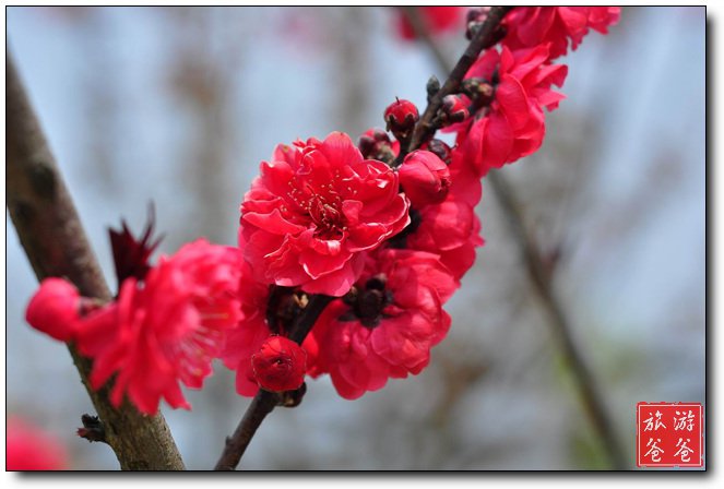 /DJGIMG/Upload/201503031648317Sh4Gh.jpg